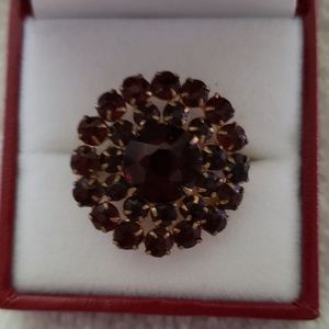 Vintage Czech Bohemian Style Garnet Brooch.